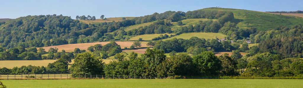 Crowcombe - photo by Lewis Clarke - https://www.geograph.org.uk/photo/6259017