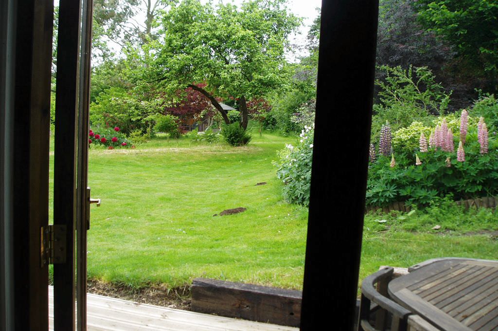 Looking out into the Garden